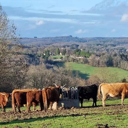 Les Nouvelles Filles De La Campagne *