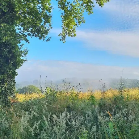 Les Nouvelles Filles De La Campagne *