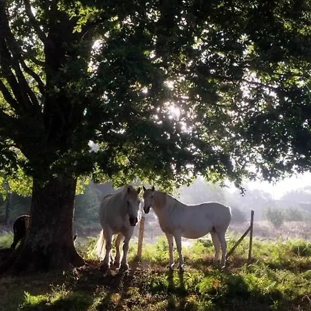 Familial Au Calme Au Coeur Du Perigord 펜션 *