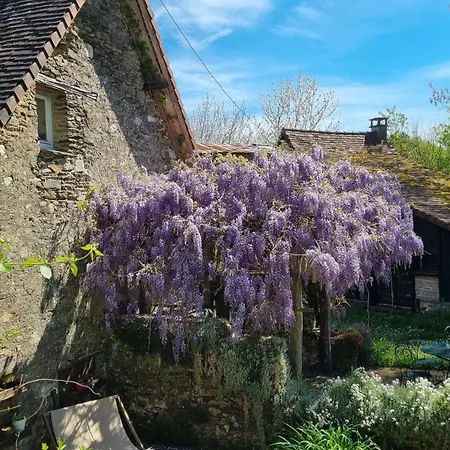 Holiday home Les Nouvelles Filles De La Campagne Jumilhac-le-Grand