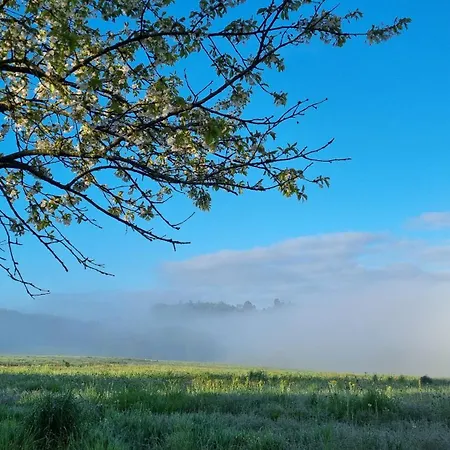 Familial Au Calme Au Coeur Du Perigord Jumilhac-le-Grand