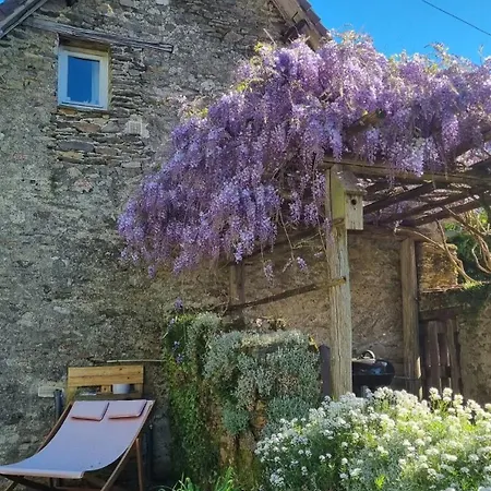Les Nouvelles Filles De La Campagne